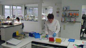 bild3