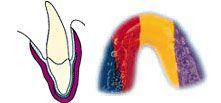 playsoft_5